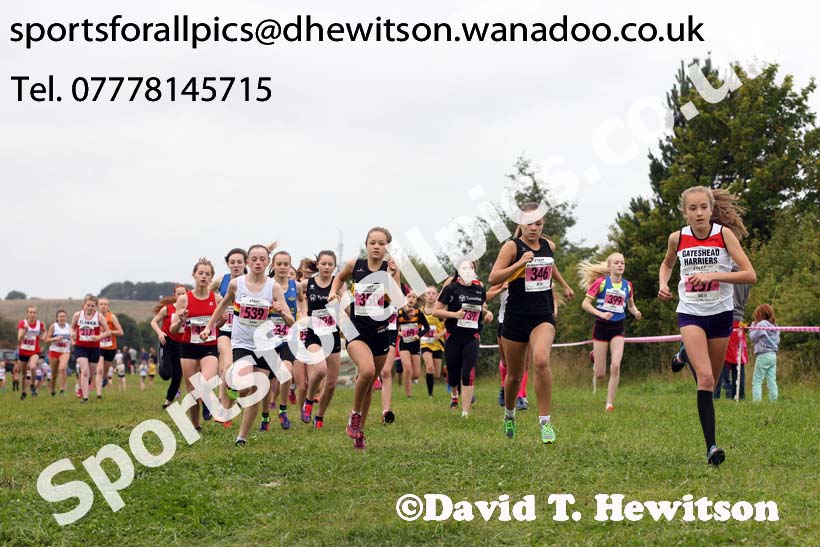 Girls under-15s, Start Fitness North Eastern Harrier League, Tanfield, County Durham. Photo: David T. Hewitson/Sports for All Pics